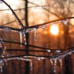 Icy sunset, ice on a tree branch, Guy Sagi, Raeford, Hoke County, North Carolina