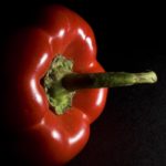 Red bell pepper, Guy Sagi, Raeford, Hoke County, North Carolina